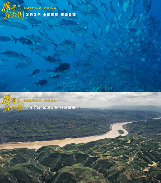 w88win�ŵ¡�(�й�)�ֻ������