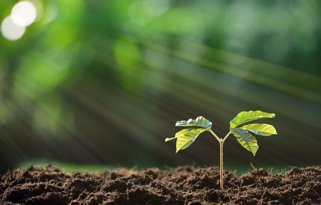 w88win�ŵ¡�(�й�)�ֻ������